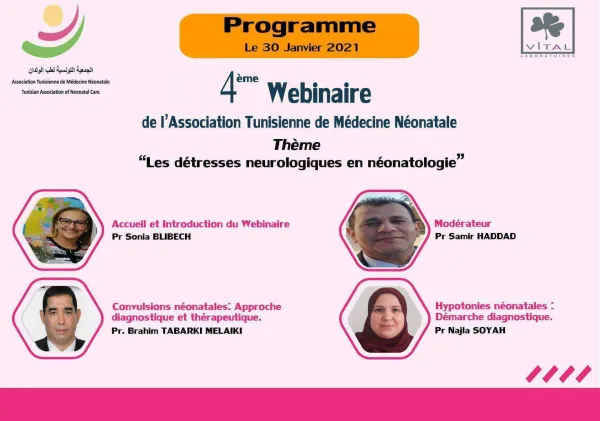Web 4
